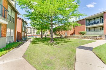 A tree in a grassy area in front of apartment buildings.
